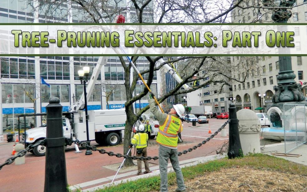 Tree-Pruning Essentials