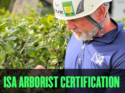 Internaional Society of Arboriculture (ISA) arborist certification.