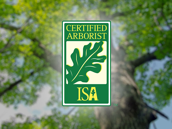 International Society of Arborictulture Certified Arborist logo