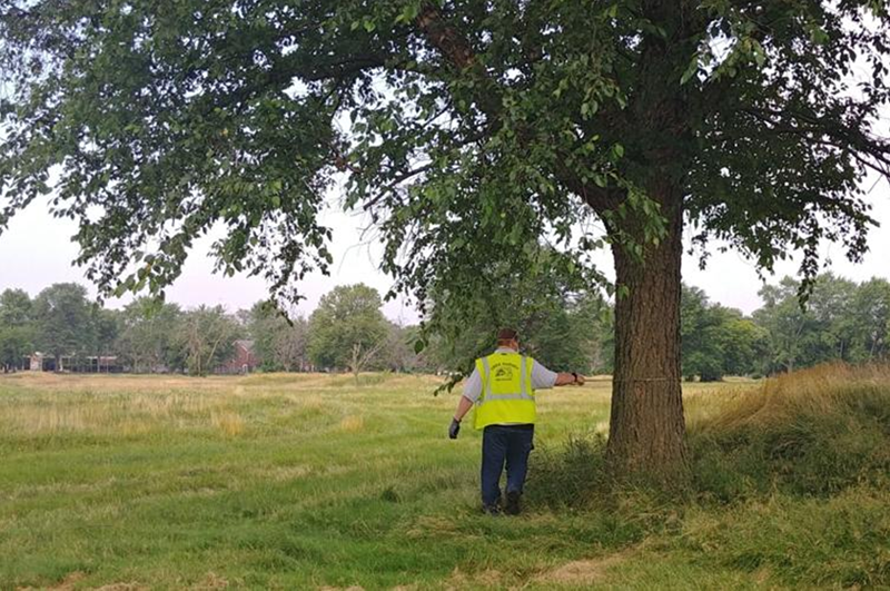 Arborist measuring tree in urban field, Trees Are Assets Worth Saving article.