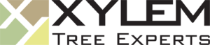 XYLEM Tree Experts Logo