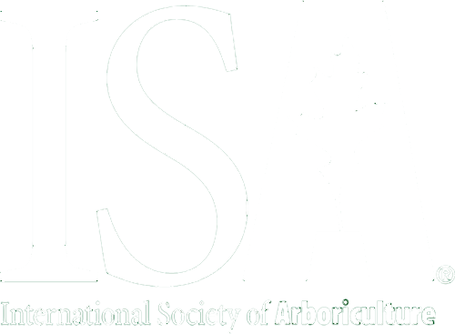 ISA Logo
