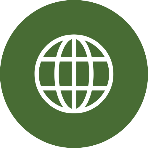 Website Icon
