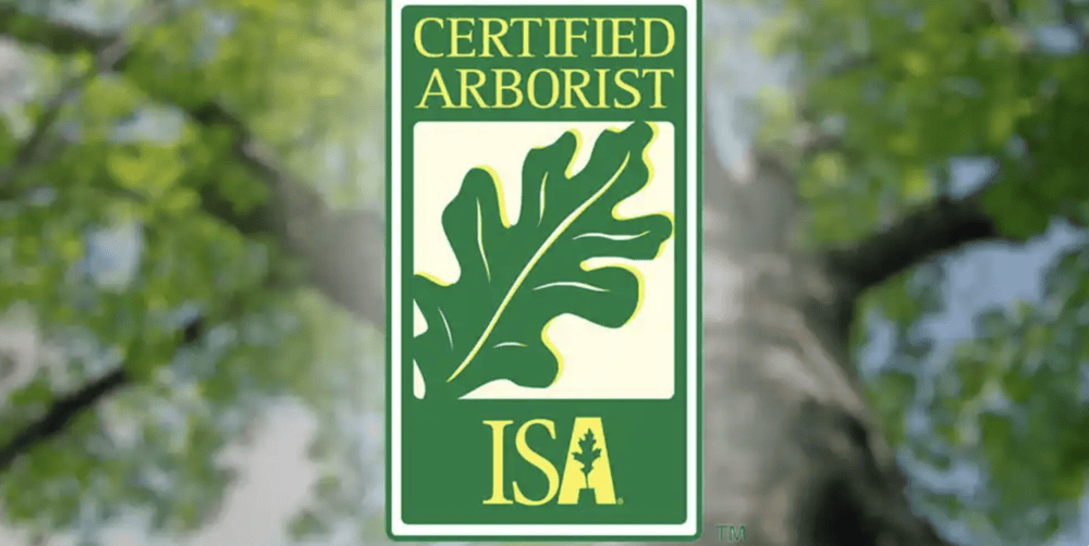 Certified Arborist logo from ISA