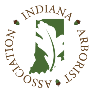 IAA circular logo.